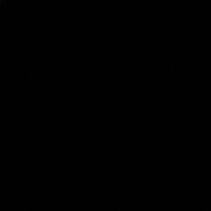 Meet your Posher, Kaleb